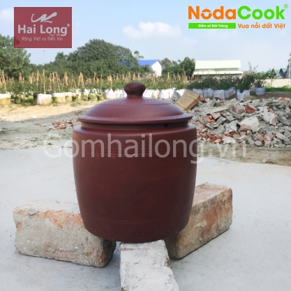 Lu đất NodaCook nướng gà thơm ngon ngọt thịt 